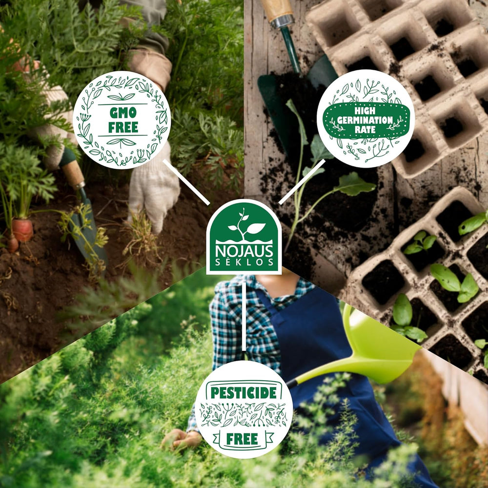 Nojus Blomsterfrøsæt - 10 sorter af blomsterfrø - Balkonblomsterfrø - Farverige plantefrø - 10 pakker - Vilde blomsterfrø - Blomsterfrøposer - Ideel blomsterfrøgave