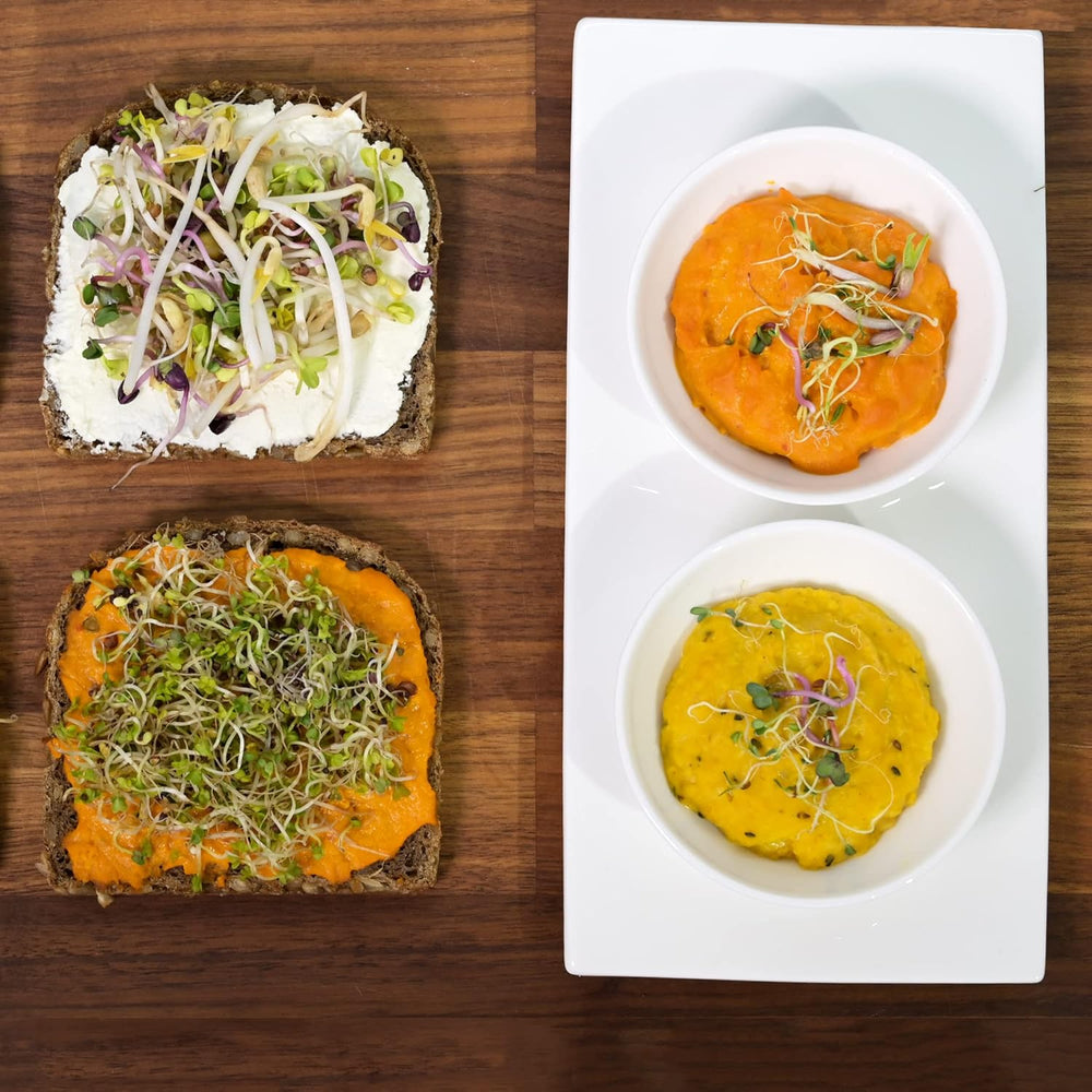 [Originalt startsæt med spirekrukke + karsefilter | 1000 ml med højkvalitets rustfrit stål Mesh Cover Stand Keramisk bakke + ABC til spiring [Printversion] Frøplantebakke med spiringskrukke