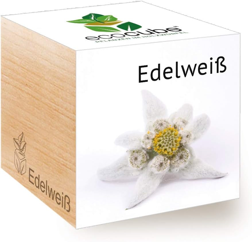 Feel Green Ecocube Weihnachtsbaum/Xmas Tree, Nachhaltige Geschenkidee (100% Eco Friendly), Grow Your Own/Anzuchtset, Pflanzen Im Holzwürfel, Made in Austria