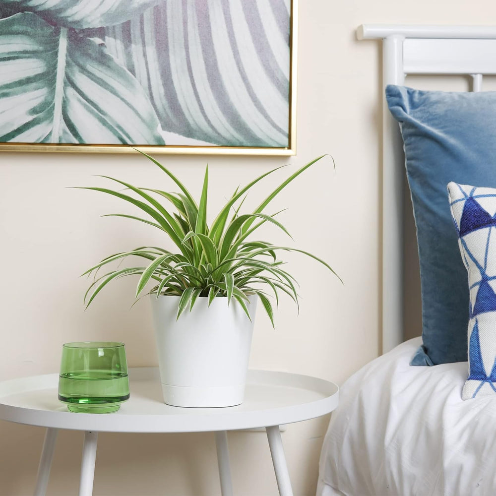 T4U 14 cm plastik urtepotter med vandingssystem, sæt med 6 selvvandende urtepotter og underkopper, runde potter til indendørs altanhaveplanter, sukkulenter, kaktusser, hvid