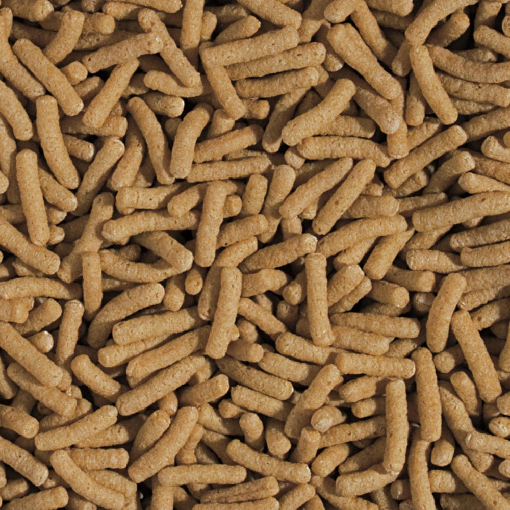 Hvedekim og hvidløgsstænger KOI&Goldfish 5L / 430g - Dammfiskefoder til daglig fodring af koi fisk i et bredt temperaturområde fra 8 til 30°C