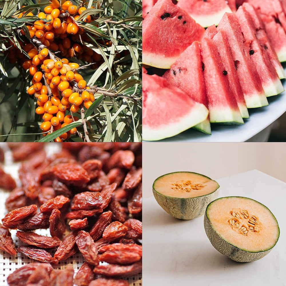 Frugtfrøsæt: Premium havefrø med 8 varianter af frugtplanter til have og balkon - Vandmelonfrø, jordbærfrø, stikkelsbær, rabarber og mere - Frugtfrøgavesæt fra OwnGrown