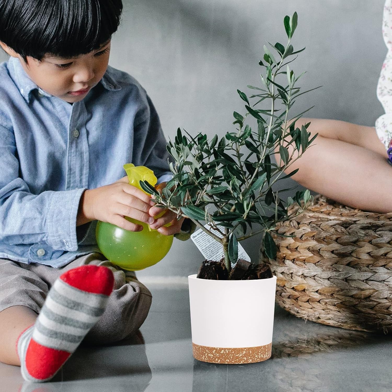 12,7 cm sæt med 2 blomsterpotter, indendørs plantepotter med drænhuller og aftagelig bund, moderne dekorative underkopper til udendørs haveplanter (hvid 12,7 cm)