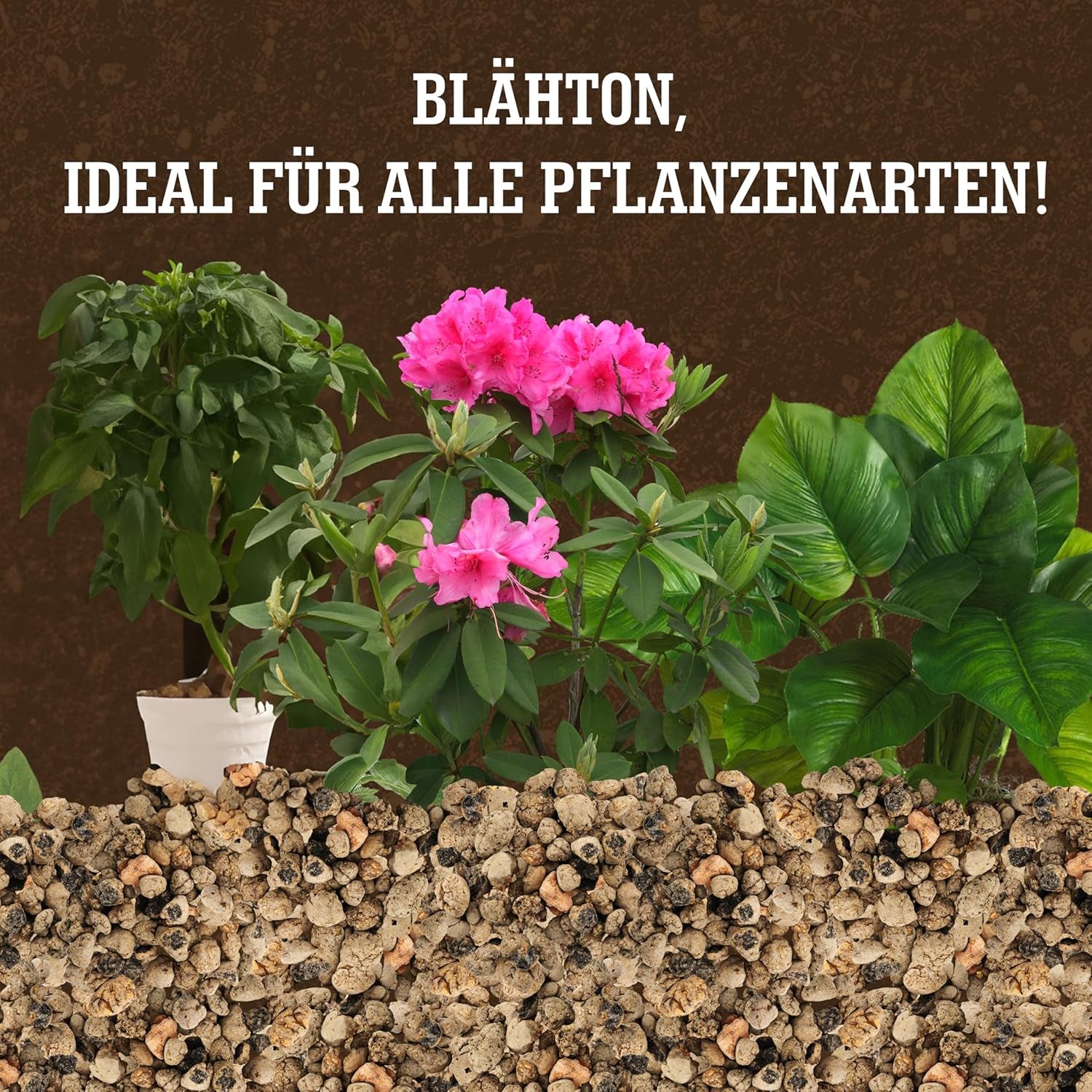 LERAVA® Expanded Clay (1L) – Lergranulat til stueplanter og hydroponics – Vegetabilsk ler med neutral pH for optimal dræning – Ideel som dræningslag eller dekorative lergranulat til planter