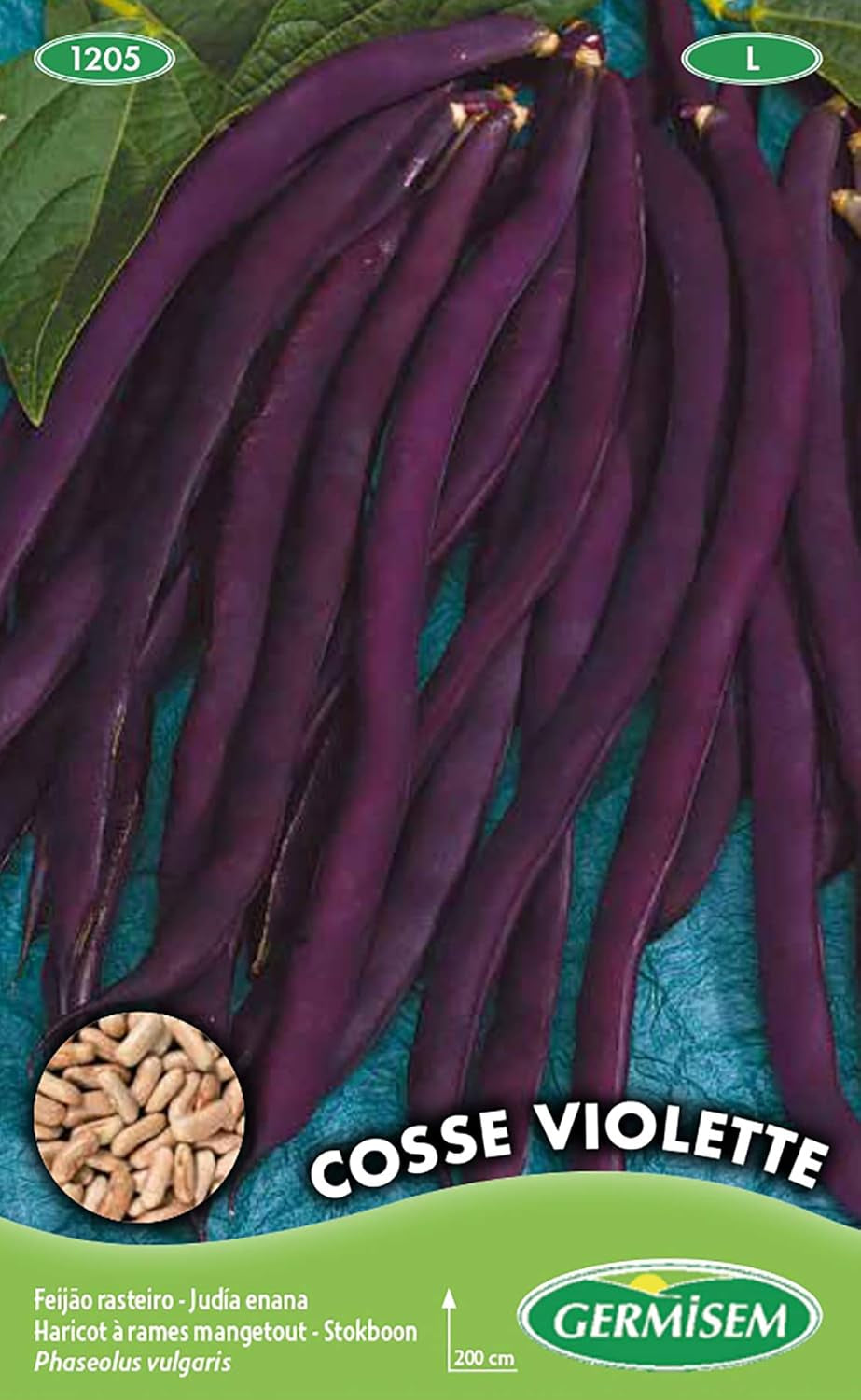 Stangenbohnen COSSE VIOLETTE, Mehrfarbig, EC1205