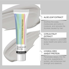 Culoarea părului Argint Argint gri cremă naturală de colorare a părului, cremă temporară de colorare a părului, cremă de colorare a părului gri, vopsea de păr semipermanentă argintie pentru toate tipurile de păr, 2 bucăți Vopsea pentru par Naty Shop