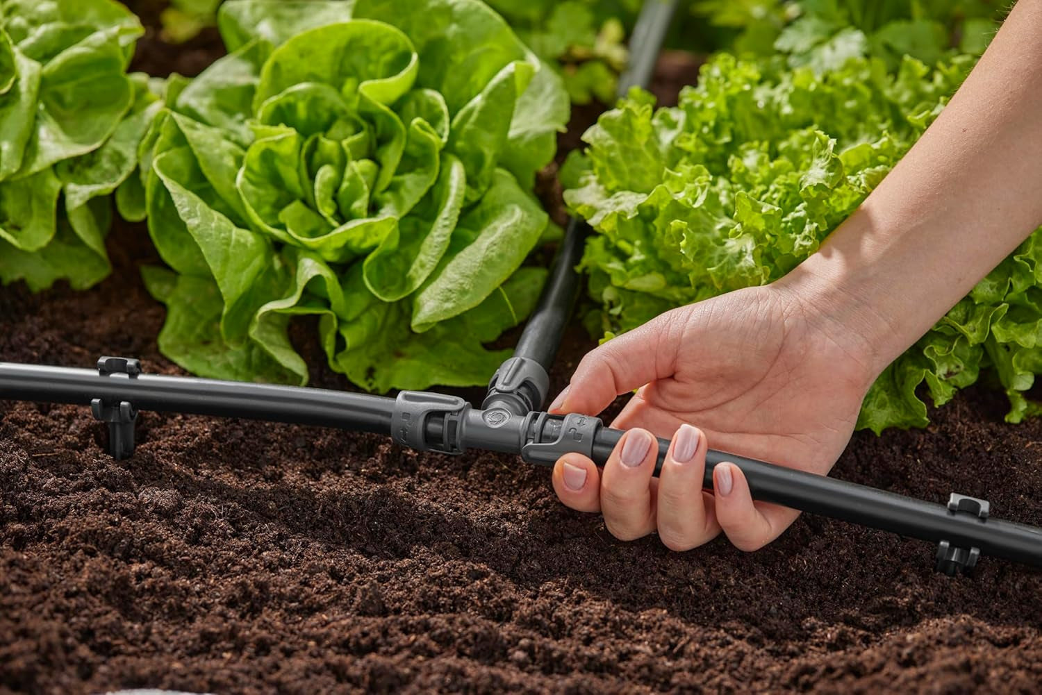 Piesă în T pentru sistem de irigare Gardena Micro-Drip 13 mm (1/2 inch): Conector pentru țevi de alimentare de 13 mm, ramificație în formă de T, irigare automată, reutilizabilă (13201-20)