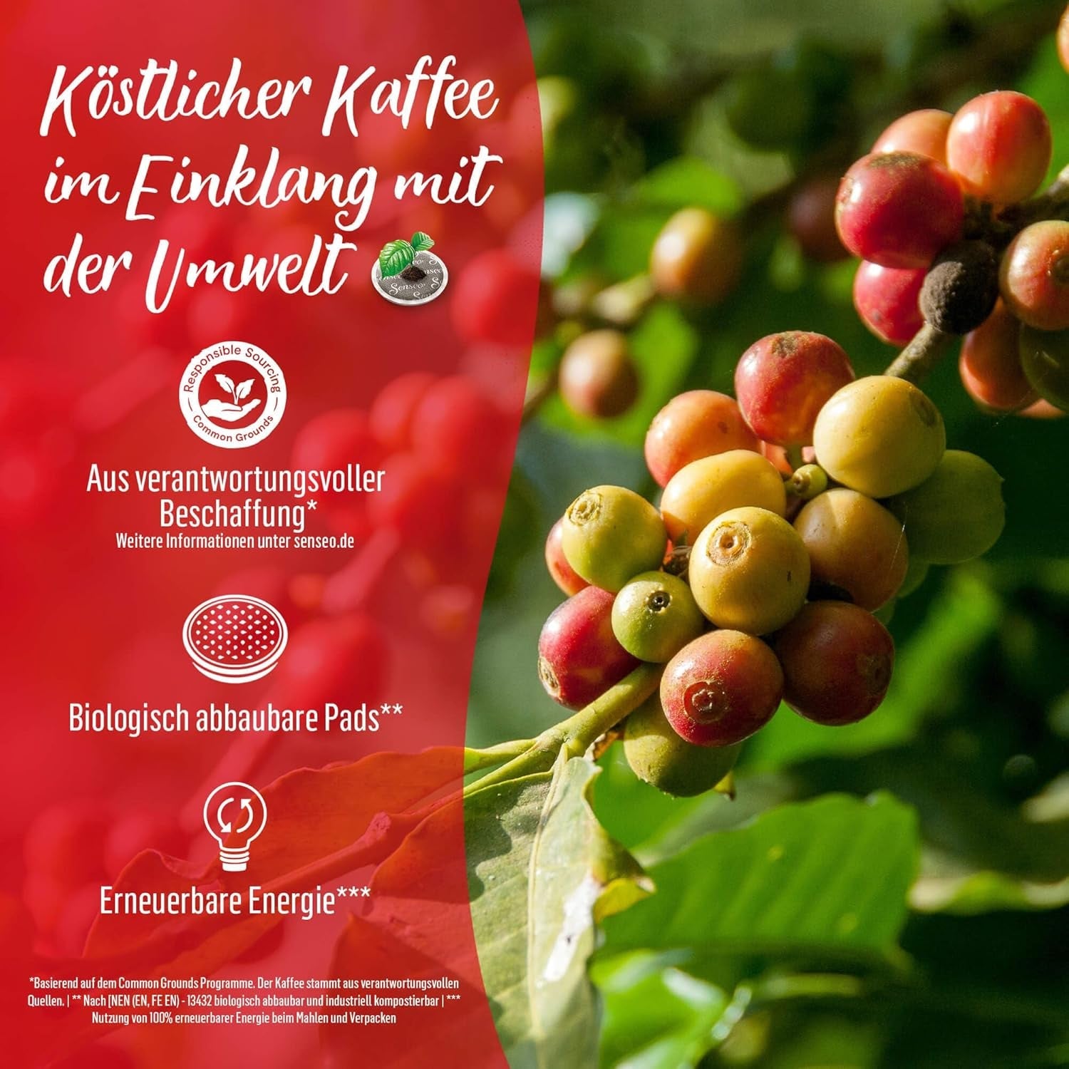 Senseo Pads Classic, Vorratspackung, 5 x 32 Getränke, 160 Kaffeepads