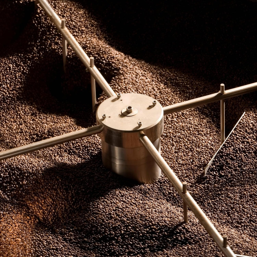 NIK CAFE’ – Amestec Classico – boabe de cafea prăjite. Excelența sa, cea robustă. 100% robustă