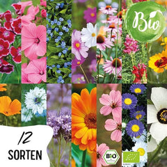 Økologisk blomsterfrøsæt | 12 sorter af blomsterfrø | Premium blomsterfrø | Wildflower frø plante frø sæt | Blomsterfrø | Blomsterfrø til altanen | Ideel gave med blomsterfrø