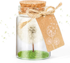 Wunscherfüller Glücksbringer, Echte Pusteblume Im Glas Mit Geschenkbox, Geburtstagsgeschenk Für Frauen, Valentinstagsgeschenk, Kleine Geschenke Für Frauen Freundin