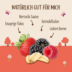 Allos Hof Granola med bær | Økologisk müsli | Müsli med bær | Sprød müsli | Korn til morgenmad | Pakke med 6 (6 x 300 g), 1 stk (pakke med 6)