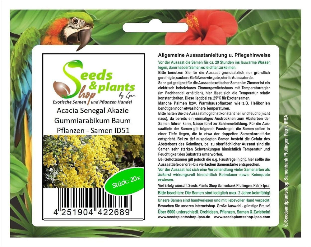 Stk - 20X Acacia Senegal Akazie Gummiarabikum Baum Pflanzen - Samen ID51 -