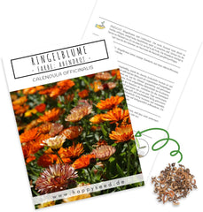 Calendula frø (Calendula officinalis) - Alsidig lægeplante med spiselige blomster og ideel til en farverig blomstereng (Abendrot)