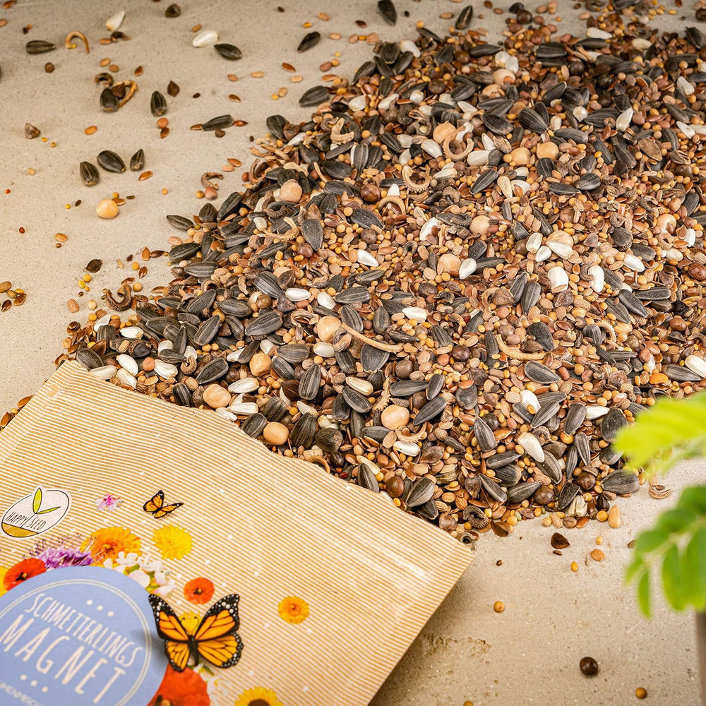 100 g sommerfuglefrø til en farverig blomstereng - farverig og nektarrig vilde blomsterfrøblanding til sommerfugle