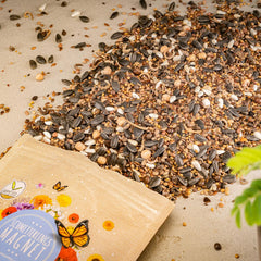 100 g sommerfuglefrø til en farverig blomstereng - farverig og nektarrig vilde blomsterfrøblanding til sommerfugle