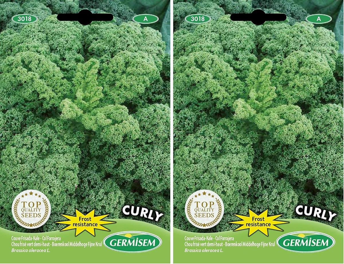 Grünkohl CURLY, Mehrfarbig, EC3018 (Packung Mit 2)