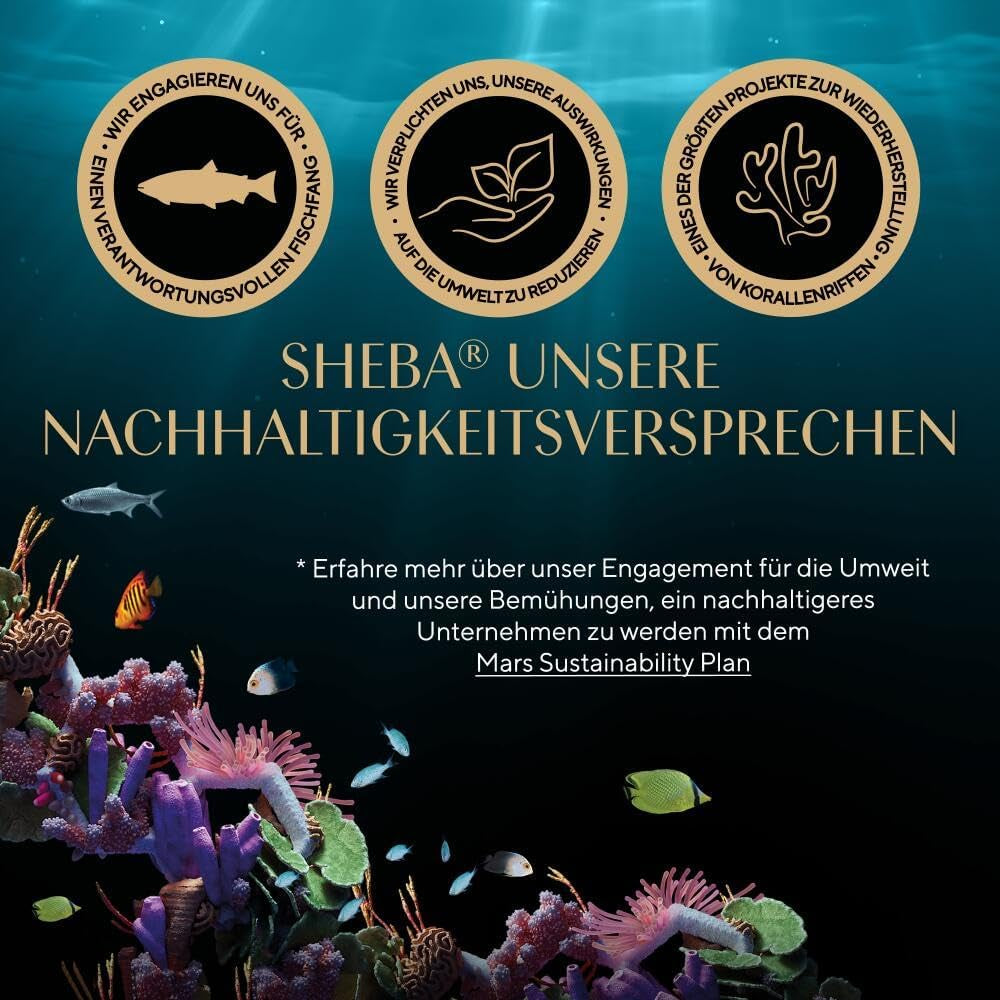 Sheba CATCARE Pungă Wet Fresh & FINE (Pește) Bucăți în sos Adult 50g Pachet multiplu Standard