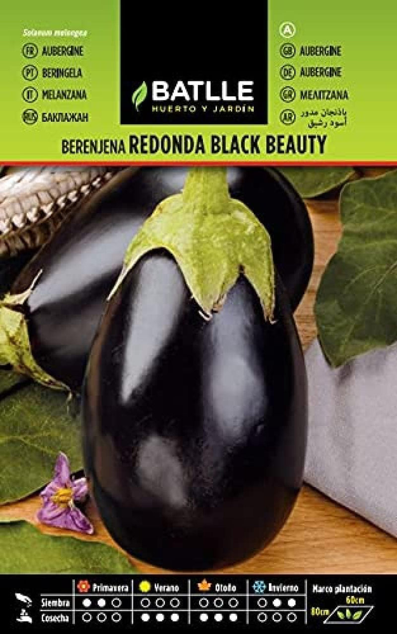 Batlle Gemüsesamen - Runde Aubergine Black Beauty (190 Samen)