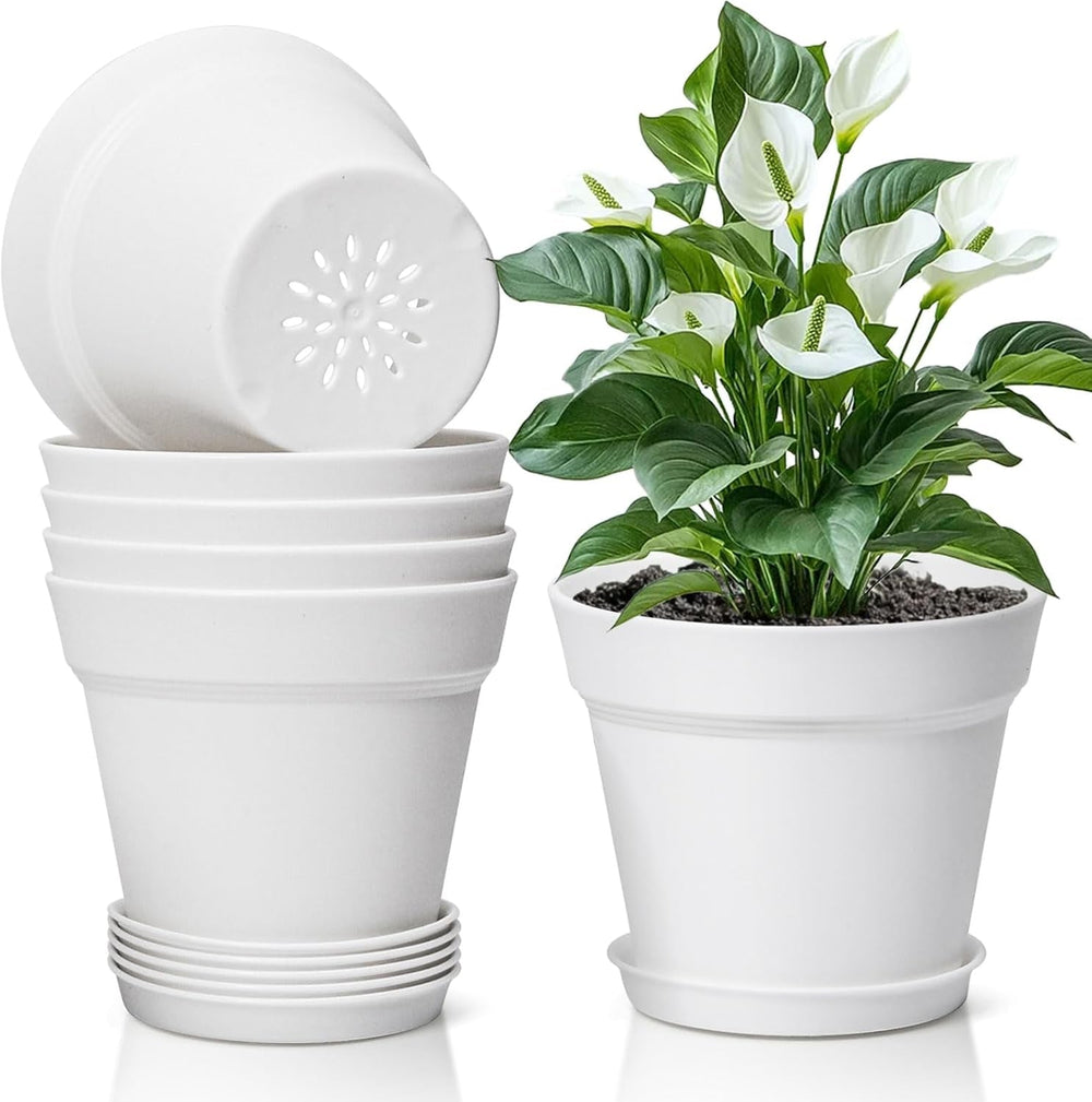 T4U Ghiveci de flori din plastic de 16 cm cu farfurie, set de 6 ghivece din plastic pentru plante aromatice cu găuri multiple de drenaj, ghiveci rotund pentru plante suculente de interior și balcon, cactuși, alb