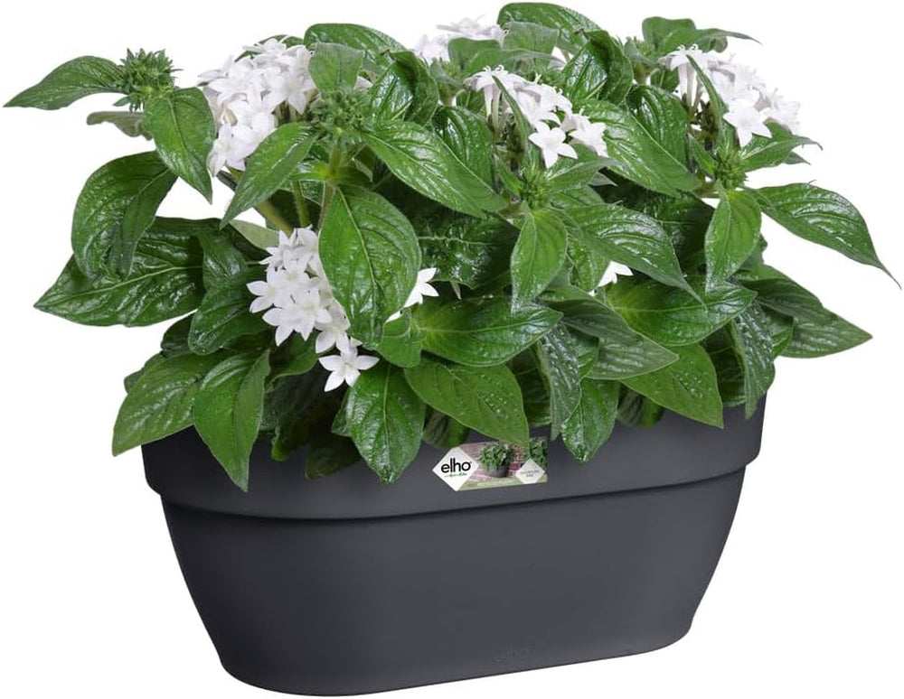 elho Vibia Campana Jardinieră de perete 35 - Jardinieră pentru balcon și utilizare în exterior - Ø 35,0 x H 14,8 cm - Negru/Antracit