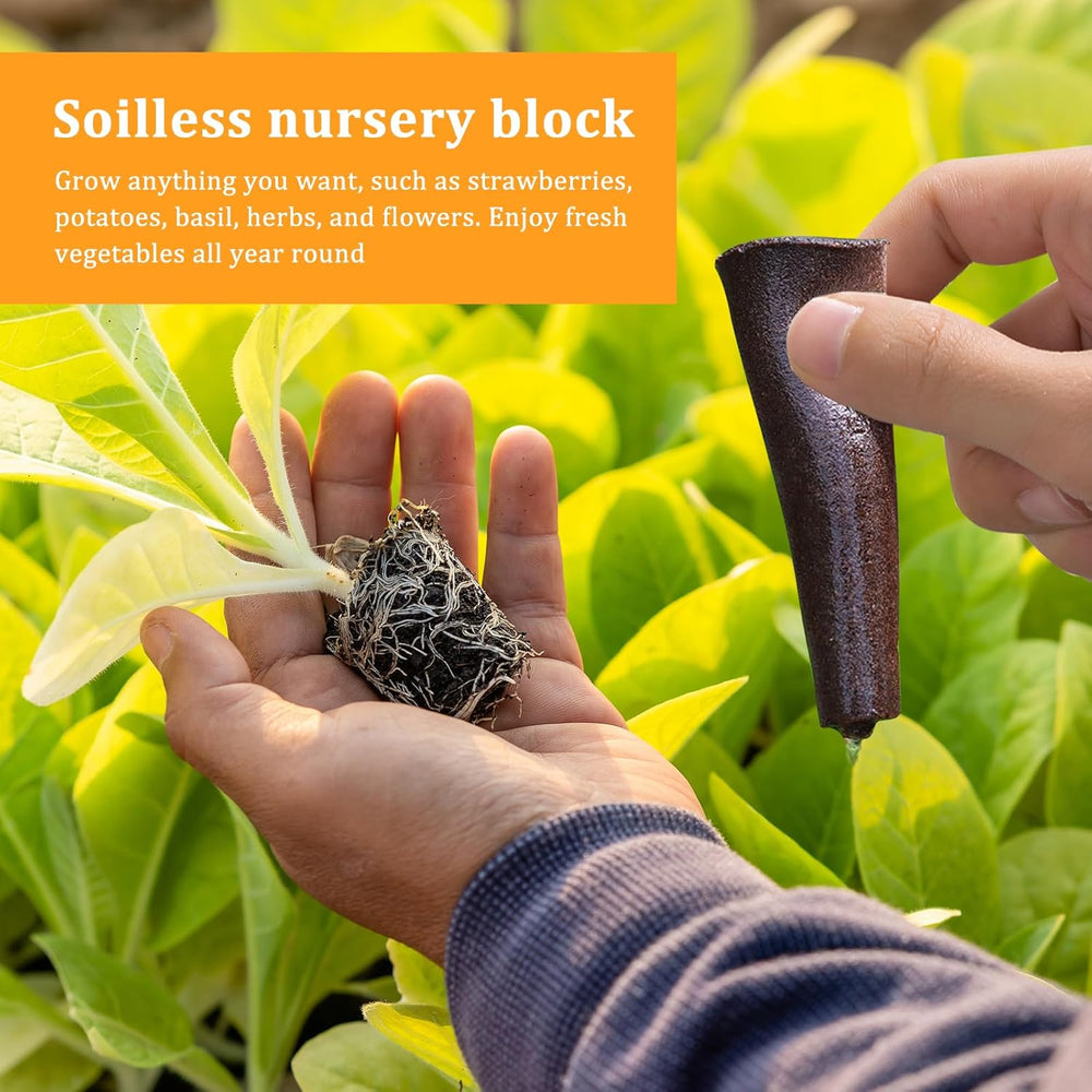 50 hydroponiske vækstsvampe, hydroponiske frøplantesvampe, roddyrkningssvampe, velegnet til forskellige slags knopper, såsom tomat, jordbær, mynte