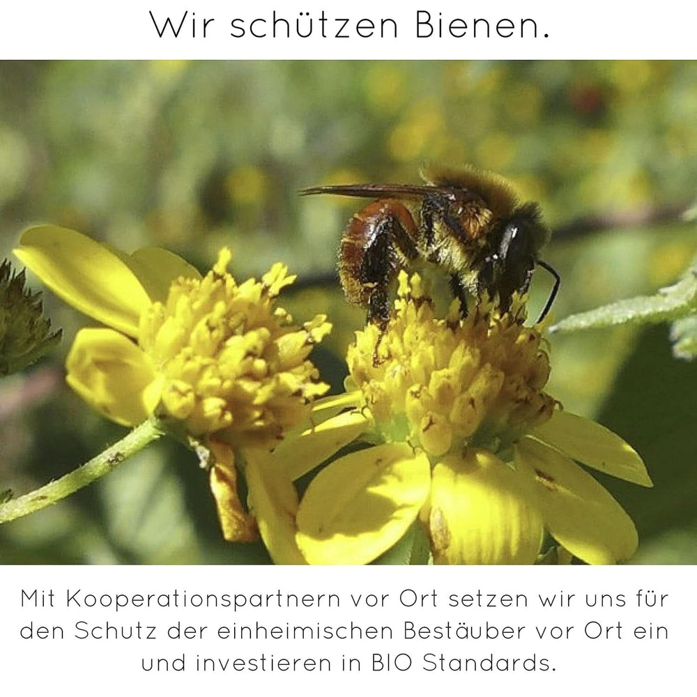 Premium vaniljepulver fra ægte vaniljebønner, naturligt, sukkerfrit, uden tilsætningsstoffer, fairtrade, vegansk (40 g uden emballage) fra Vanilla Campaign® Flavours Naty Shop