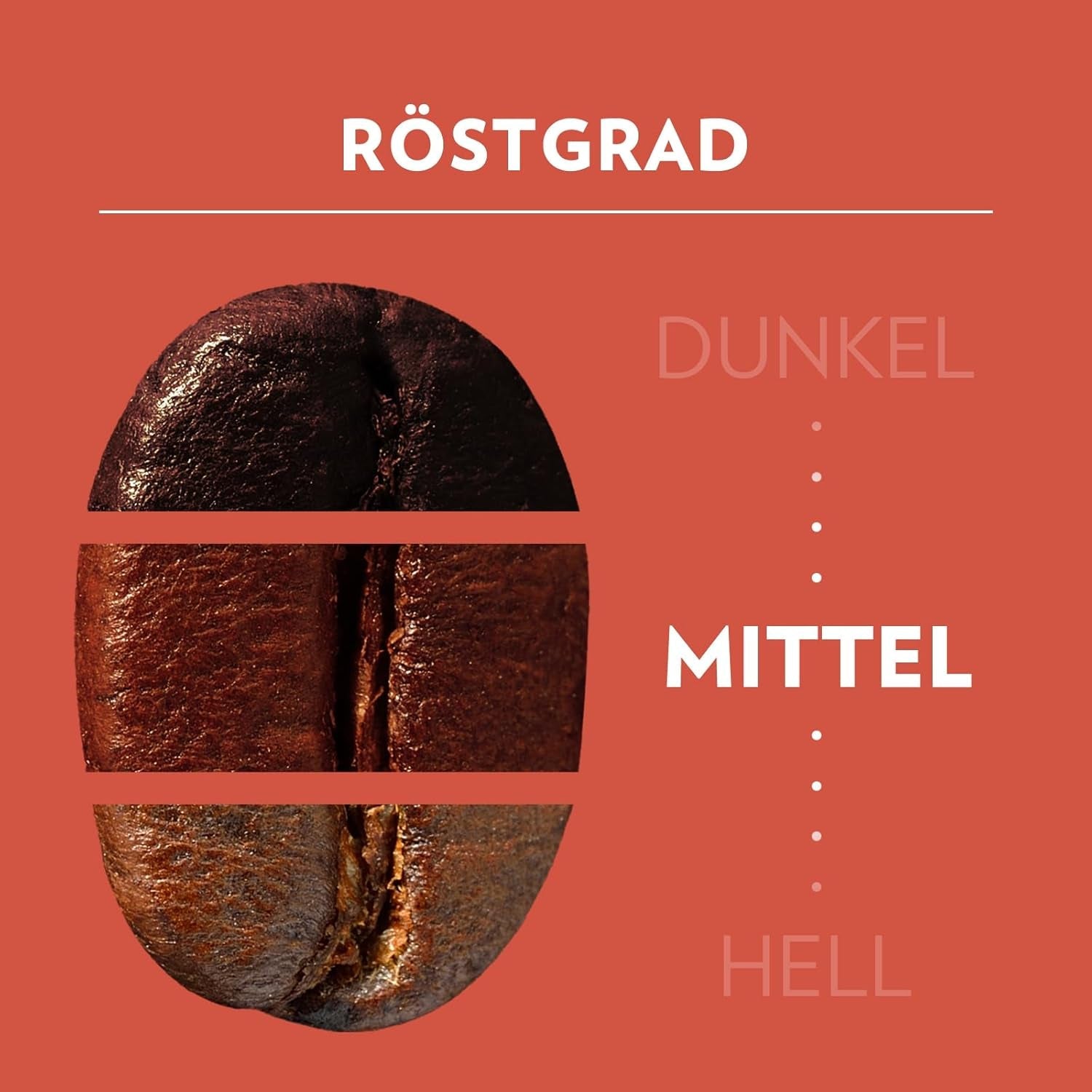 Lavazza, Tales of Roma, boabe de cafea, ideale pentru mașinile de cafea Espresso, cu note de aromă de alune și ciocolată neagră, Arabica și Robusta, 250 grame Cafea Naty Shop