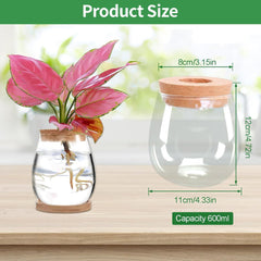 Hydroponic Plant Grow Station 12x11cm Avocado frøvase Glasplantekasse Hydroponisk glasvase til vandplanter eller blomster Skrivebordsdekoration 2 stk.