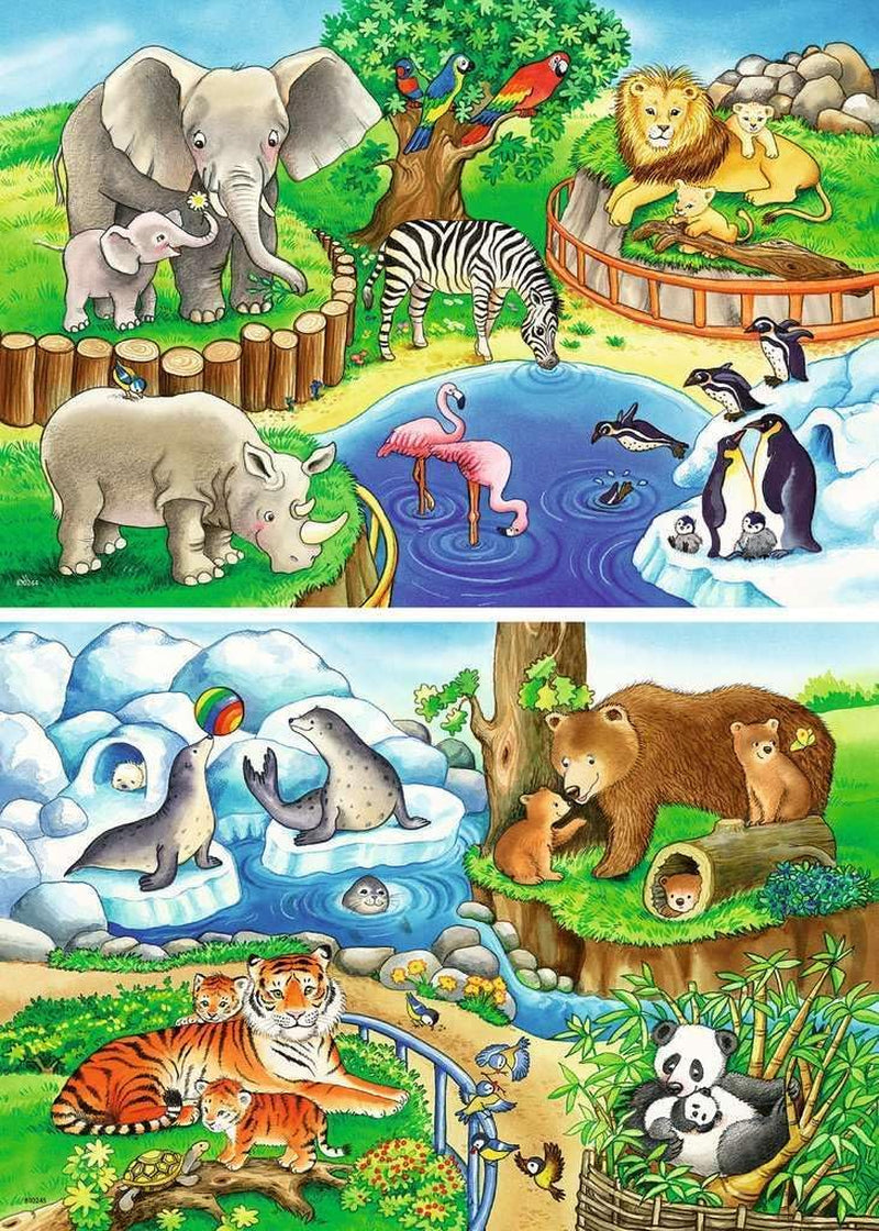 Ravensburger Puslespil for børn - 07602 Dyr i Zoo - Puslespil for børn fra 3 år, med 2X12 brikker Puslespil Naty Shop