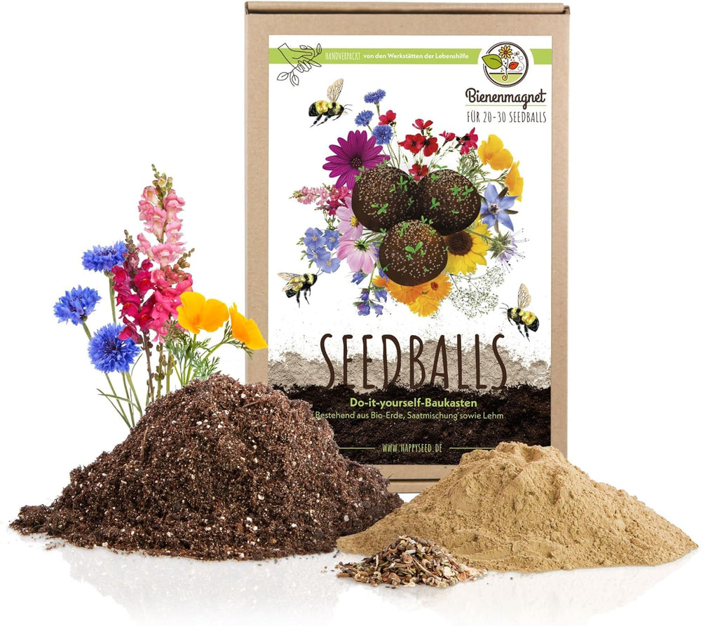 Samenbomben Selber Machen Für Eine Bunte Bienenweide - Bienenfreundlicher Seedbomb Bausatz Für 20-30 Seedbombs