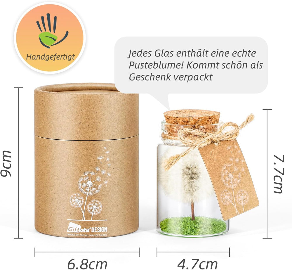 Wunscherfüller Glücksbringer, Echte Pusteblume Im Glas Mit Geschenkbox, Geburtstagsgeschenk Für Frauen, Valentinstagsgeschenk, Kleine Geschenke Für Frauen Freundin
