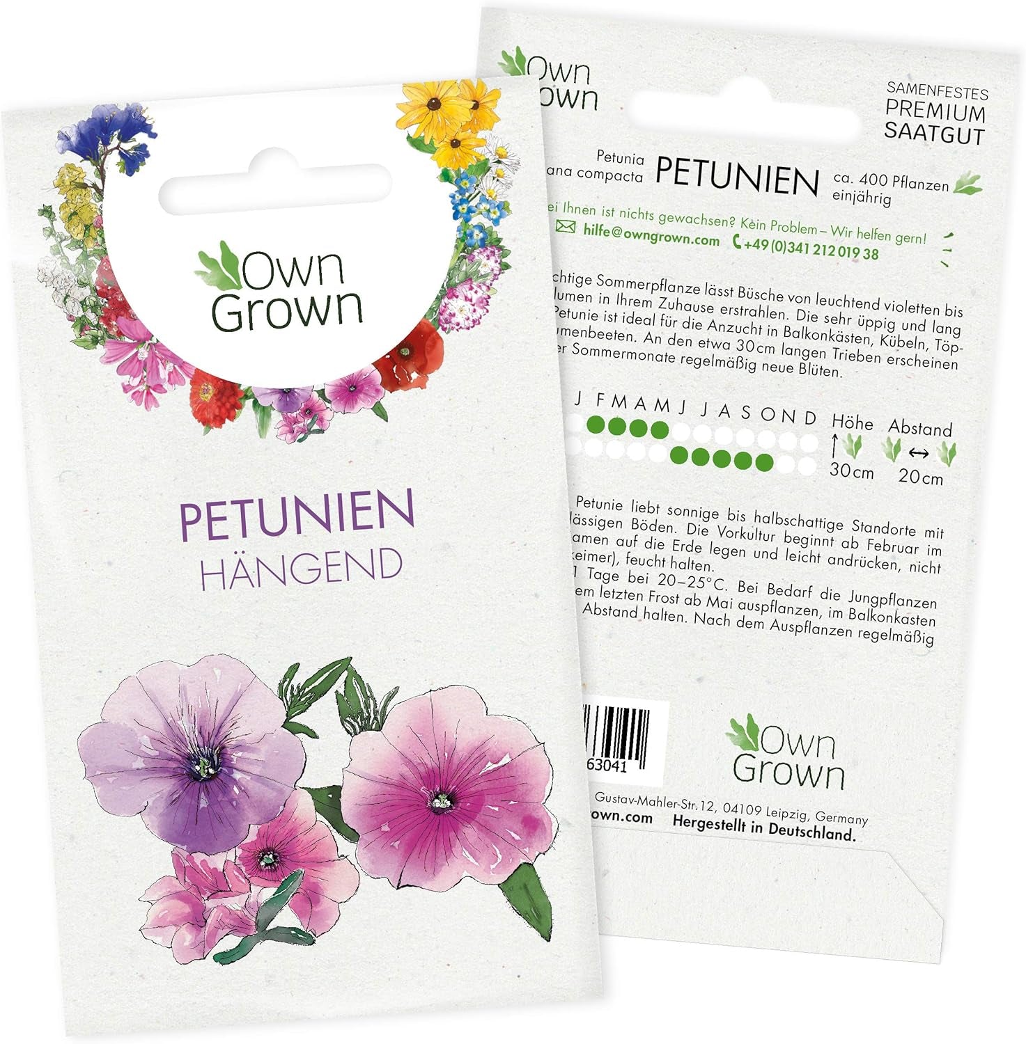 Echinacea frø: Premium gule Echinacea frø til omkring 20 blomstrende Echinacea planter - Rudbeckia frø - Hardy Rudbeckia - Echinacea stauder - hårdføre stauder af OwnGrown
