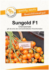 Sungold F1 Cherrytomate Tomatensamen Von Bobby-Seeds Portion