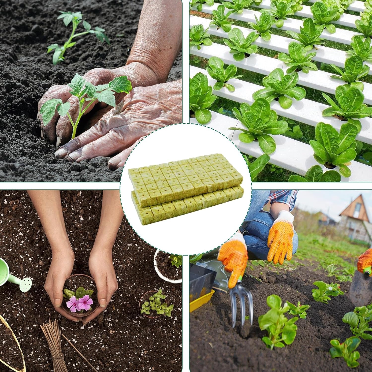 100 Stück Steinwolle Anzucht Würfel 2,5x2,5x2,5CM Rockwool Cube Anzuchtmatte Steinwolle Anbau Hydrokultur Umpflanzen für Bodenlose Anzucht Setzlinge Stecklinge Klonpflanzen