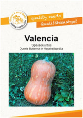 Valencia Kürbissamen Von Bobby-Seeds, Portion
