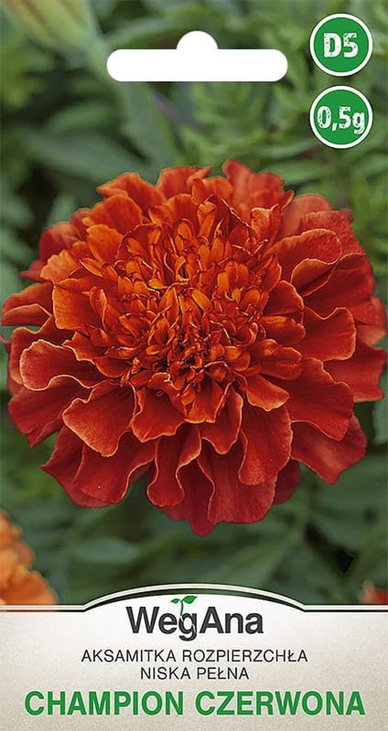 Cosmos Sensation Mix 1g frø, Cosmos Mix Sommerblomster, Haveplanter Balkonplanter, Blomsterfrø