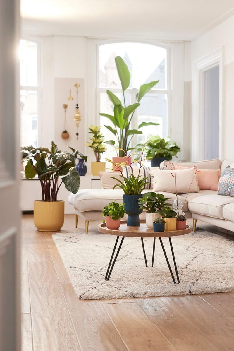 Ghiveci elho Vibes Fold Round Mini 9 - Ghiveci de flori de interior - 100% plastic reciclat - Ø 9,3 x H 8,8 cm - Alb/Alb mătăsos