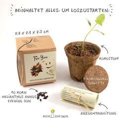Plant Grow Gift Kit - Sunflower Sunset, inklusive potter, substrat og dyrkningsinstruktioner