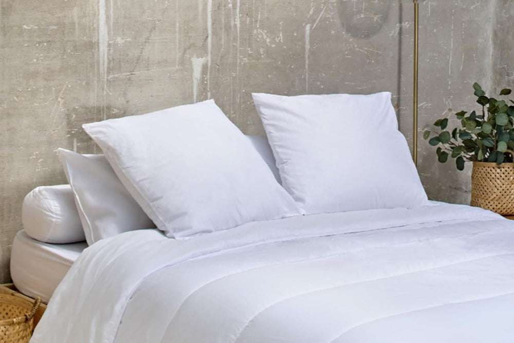 Bleu Câlin Home Collection Set de 4 perne Cliniguard Anti-Mite White 60X60 Cm Perne standard Naty Shop