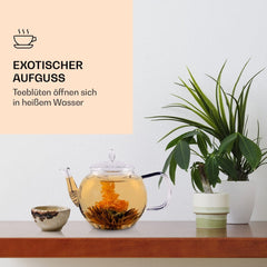 Feelino Cutie mixtă elegantă cu 6 bucăți - Flori de ceai Feelino White într-o cutie superbă de degustare și cadou cu 6 trandafiri de ceai alb diferiți, ambalați individual în vid, pachet cu 1 bucată