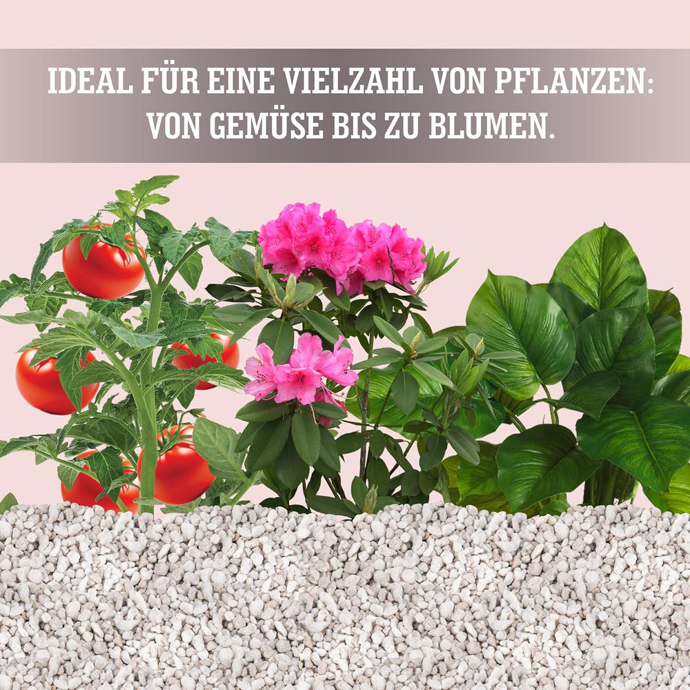 LERAVA® Perlite for Plants (5L) – Grovkornet perlit til jordforbedring – Sikrer optimal dræning og beluftning – Naturlig jord- og hydroponicsadditiv – Granulat til planter