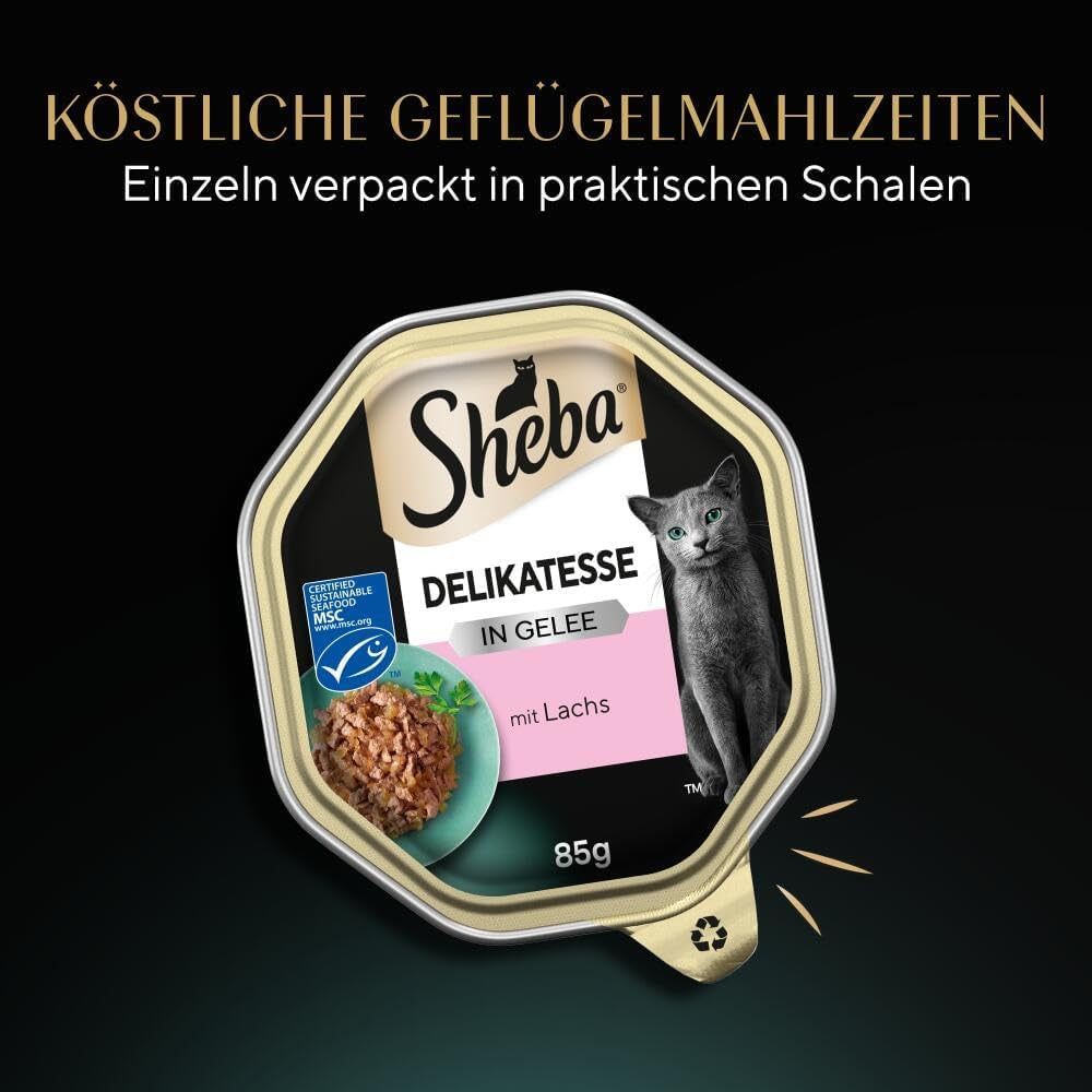 Hrană umedă pentru pisici Sheba, Delicatess în jeleu cu somon, 2 x 11 x 85g