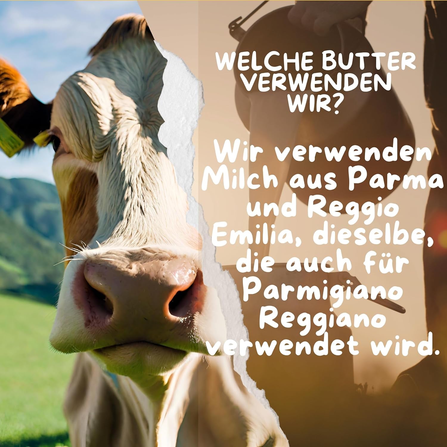 Cibo Bio Ghee 500g – Milch aus Parma & Reggio Emilia – Hergestellt i Italien – Weidekühe – Rauchpunkt 250°C – Aus Centrifugensahne