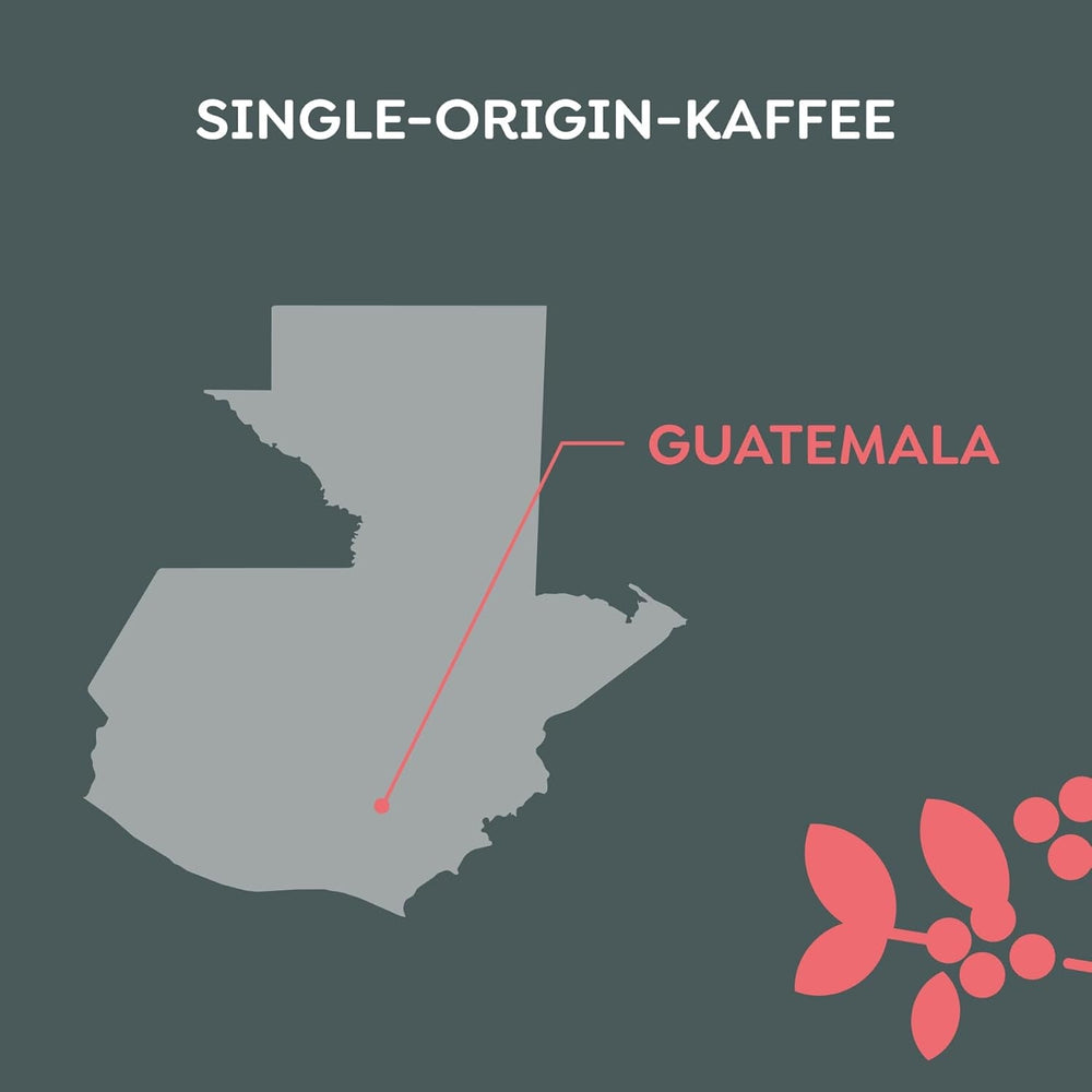 Melitta Manufaktur-Kaffee Guatemala honning, specialkaffe, 250 g, hele kaffebønner, umalet, enkelt oprindelseskaffe, delikat tromleristet, ristet i Tyskland, Strength 3 Coffee Naty Shop