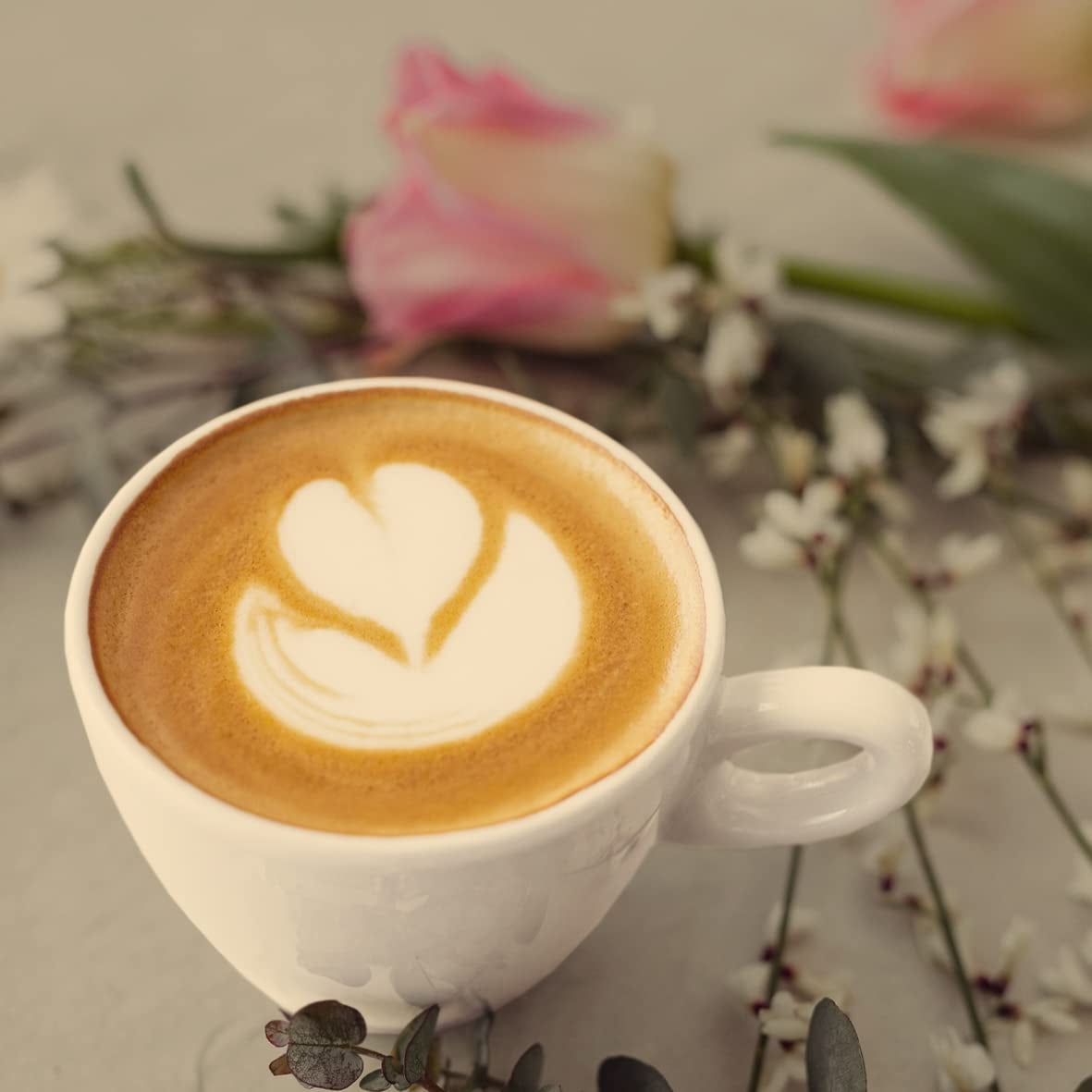 - Mocha 1000g | Cafea tare pentru Schümli și espresso de la aparate complet automate | Boabe de cafea prăjite integral | Cu 90% boabe Arabica