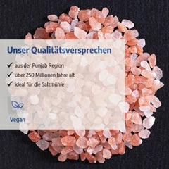 Govinda Kristallsalz - groft (1 kg) | 250 Millionen Jahre alt | Salz aus der Punjab-regionen | 100% naturlig skønhed & ohne Zusätze | Ayurvedisk | Vegansk | Ideel til saltmøllen