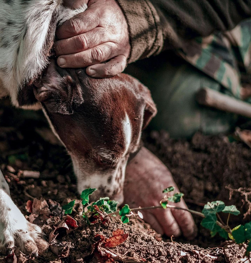 - Sort trøffelsmagskoncentrat 30 ml, professionel brug Arome Naty Shop