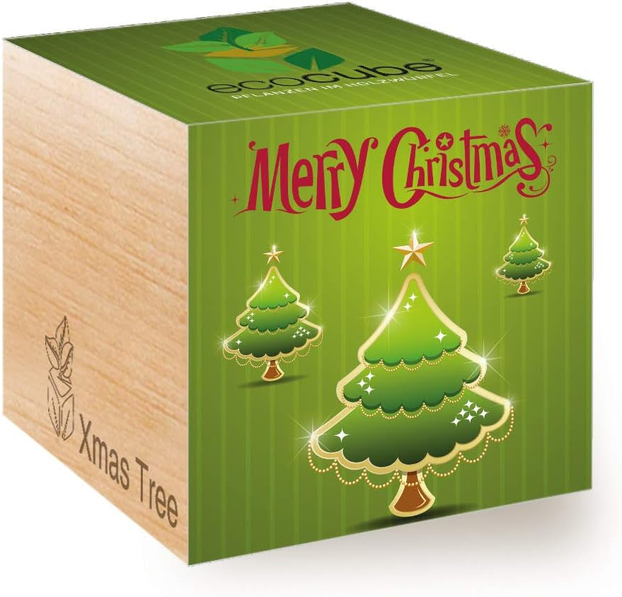 Feel Green Ecocube Weihnachtsbaum/Xmas Tree, Nachhaltige Geschenkidee (100% Eco Friendly), Grow Your Own/Anzuchtset, Pflanzen Im Holzwürfel, Made in Austria