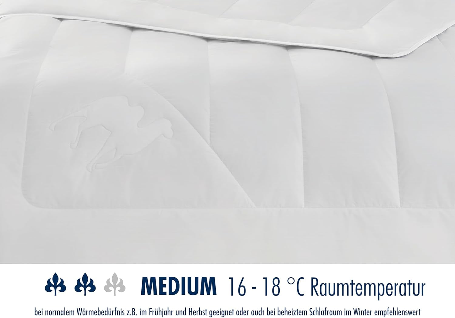 Irisette kameldyne - Made in Germany - Mono, quilt til alle årstider, kamelhårsdyne til overgang, 155 X 220 Cm, Oeko-Tex certificeret Dyner og dyner Naty Shop